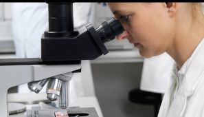 Microscopia em endodontia convencional